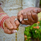 Illustration for article titled Hindu Marriage Sites